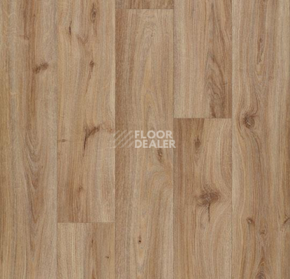 Линолеум Forbo Eternal Wood 10832 hazelnut oak фото 1 | FLOORDEALER